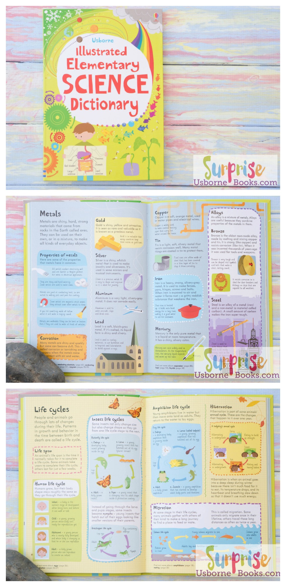 Illustrated Elementary Science Dictionary - Surprise Usborne Books