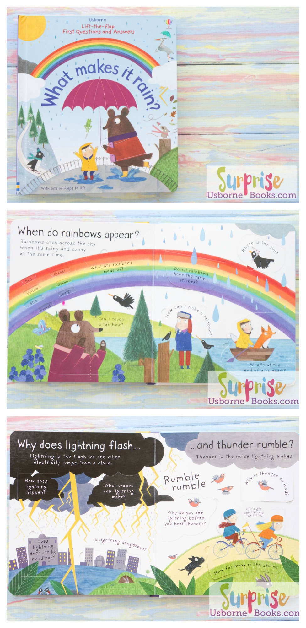 Lift-the-Flap First Questions and Answers What Makes it Rain - Surprise Usborne Books