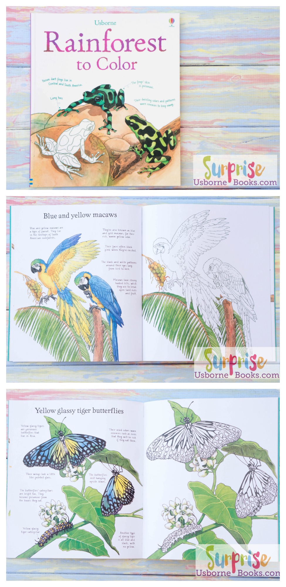 Rainforest to Color - Surprise Usborne Books